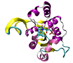 Adenosine triphosphate